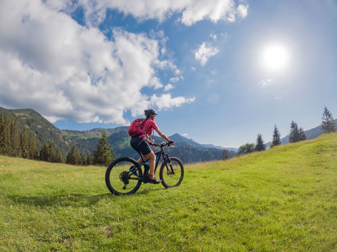 Viaggi in bici Made by Turisanda