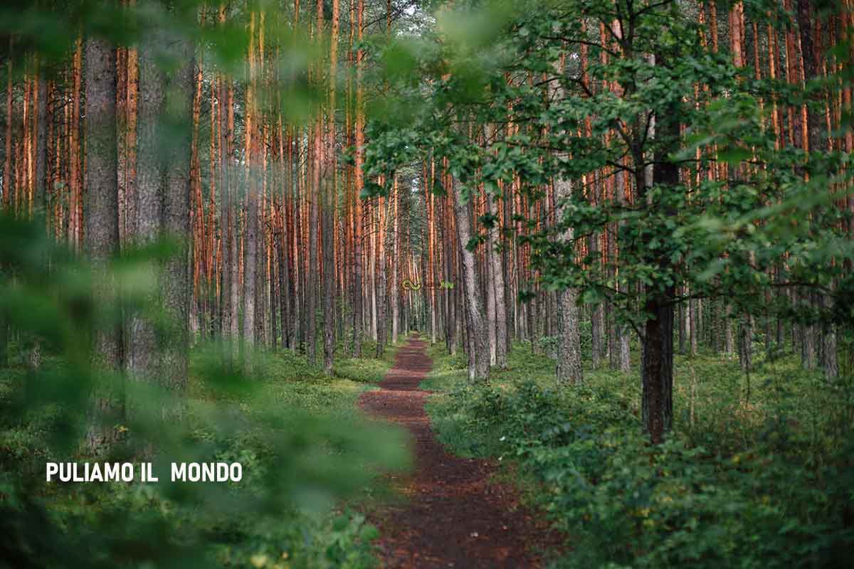 puliamo il mondo