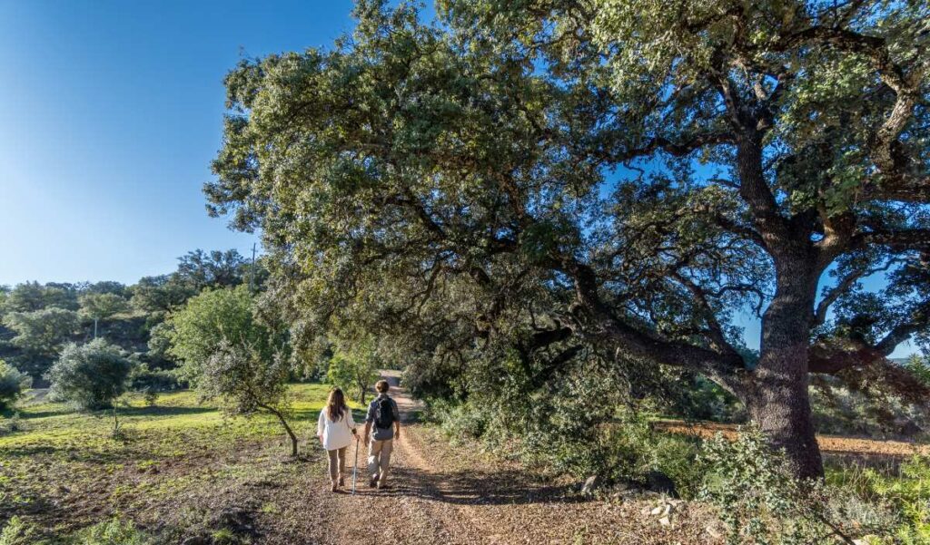 Hiking in the Algarve