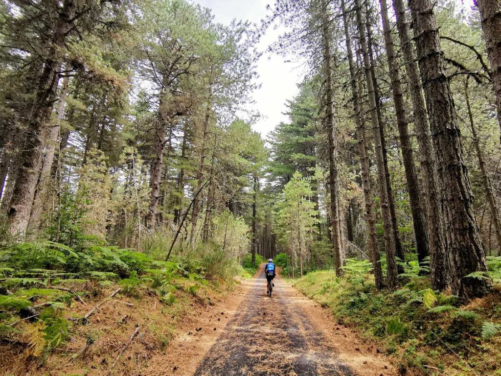 Cycle Route of the Parks of Calabria, Aspromonte, photo credit Paolo Ciaberta